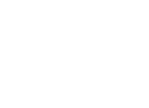 Theme park section