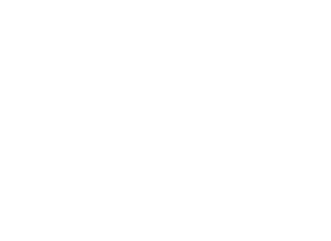 Video section